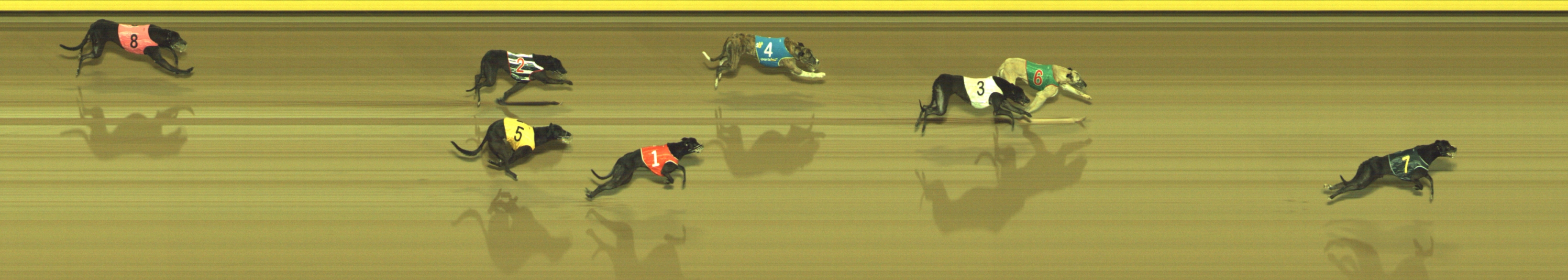 Race result finish photo